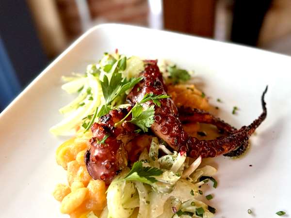 grilled octopus entree